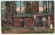 The Forest Ranger's Cabin - USA National Parks