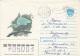 22451- BIRDS, HERON, COVER STATIONERY, 1991, RUSSIA - Pélicans