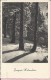 Wuppertall-Elberfeld, 17.12.1955., Germany (Deutche Bundespost), Postcard () - Altri & Non Classificati