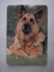 1 Calendar - Portugal Animal Cão Cao Dog Chien Cane Hund Hond Perro (2 Scans) - Formato Piccolo : 2001-...