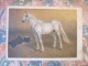 ART RUSSIAN PAINTER SAMOKISH TROTTER HORSE 1932 - Horses