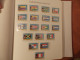 Delcampe - Collection 2 Albums, Tematic: World Cup Argentina 1978, 140 Pages Total, Worldwide, MNH - Collections (with Albums)