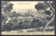 1909 MÓNACO , MONTECARLO , VISTA ENTRE LOS PINOS , CIRCULADA. - Monte-Carlo