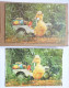 TRES RARE BOITE DE 3 PUZZLE (S) RTF - ORTF - 1964-65 SATURNIN - Puzzles