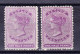 Ceylon 1864 SG 48 * 2 Stück - Ceylan (...-1947)