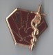 INSIGNE 1° REGIMENT MEDICAL - DRAGO PARIS G 3955 - Medicina