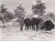 Photo 1915-1916 PERTHES-LES-HURLUS (Souain Près Suippes) - Artilleurs Au Camp Des Chasseurs, Cagnat (A109, Ww1, Wk 1) - Souain-Perthes-lès-Hurlus