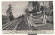 Madeira 1907, Funchal, Carro Do Monte, Trainrail, Train (in The Distance), Carry-structure, Used - Treni