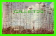 DALLAS, TEXAS - OIL DERRICKS, TYPICAL EAST TEXAS OIL FIELD - PUB. BY TEXACOLOR CARD CO - - Dallas