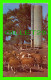 DALLAS, TEXAS - DAIRY HERD OF GUERNSEYS WITH SILO - PUB. BY TEXACOLOR CARD CO - - Dallas