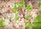 STAFKAART GEMMENICH 1954 Omg AACHEN HEERLEN STOLBERG ESCHWEILER ALSDORF KERKRADE-HOLZ WURSELEN SCHAESBERG EILENDORF S128 - Topographische Karten