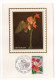 1973--Carte Maximum--Fleur-ANTHURIUM De La Martinique--cachet  FORT DE FRANCE--972 - 1970-1979