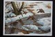 "Ducks Came" - Old Art Postcard 1950s. - Duck - Hunting - Oiseaux