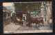 Portugal FUNCHAL 1907 Picture Postcard To GLASGOW England Carro De Boi - Funchal