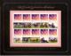 Australia 2012 Black Caviar Stamp Pack - 2 Sheets, 20 Wins - Presentation Packs