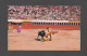 CORRIDA - TIJUANA MEXICO - BULL FIGHT SCENE - PHOTO ENRIQUE ASIN - Corrida