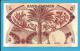 YEMEN PEOPLES DEMOCRATIC REPUBLIC - 5 DINARS -  ND ( 1984 ) - P 8a -  Sign. 3 - Bank Of Yemen - 2 Scans - Yemen