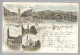 AK DE Bay DEGGENSDORF 1899-08-30 Litho F.Schlmm Verl.A.Höng - Deggendorf