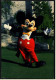 USA , Florida  -  Walt Disney World  -  Mickey Mouse  -  Ansichtskarte Ca.1983   (4690) - Disneyworld