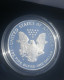 USA - 1995, SILVER AMERICAN EAGLE ONE DOLLAR - 1979-1999: Anthony
