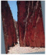 (PH 432) Australia - NT - Standley Chasm - The Red Centre