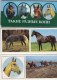 USSR  1988 Set 15 NEW  Cards  Horses Chevaux Horse Cheval Caballos Cavalli Paarden Pferde - Pferde