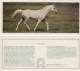 Delcampe - USSR  1988 Set 15 NEW  Cards  Horses Chevaux Horse Cheval Caballos Cavalli Paarden Pferde - Pferde