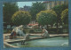 64-PAU-Le Bassin Du Square Clémenceau - Non écrite - 2 Scans -10.5 X 15 - JOVE - Pau