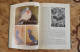 Scandinavian The Book About Birds Owl Eagle - Idiomas Escandinavos