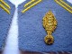 ANCIEN INSIGNES LOT LOSANGE DE COL  MODELE 1956 CANETILLE  A  IDENTIFIER  ETAT EXCELLENT - Armée De Terre