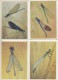 Dragonflies - Complete Set Of 16 - Insectes