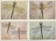 Dragonflies - Complete Set Of 16 - Insectes