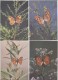 Delcampe - Butterflies - Complete Set Of 18 - Mariposas