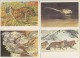 The Red Book 3 (Protected Species In The USSR) - Complete Set Of 16 - Autres & Non Classés