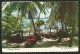 ST. LUCIA West Indes Fishing Canoes 1977 - Saint Lucia