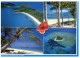 (PH 891) Australia - QLD - Islands And Beaches - Far North Queensland