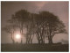 (PH 404) UK Posted To Australia - Return To Sender (RTS - DLO) Purple Cachet Back Of Postcard - Seven Sisters Trees - Bomen