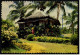 Pilipinas / Philippinen  -  Nipa Hut  -  Philippine Barrio Scenery  -  Ansichtskarte Ca.1986    (4805) - Philippinen