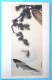 Cp Belle Litho Art Nouveau Illustrateur OKIO Estampe Japonaise Poisson Koï Decor Arbre Zen Dos Avec Ecriture Asiatique - Poissons Et Crustacés
