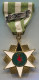 VIETNAM - BOI TINH CAMPAIGN, Medal - Autres & Non Classés