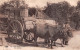 ¤¤  -  452   -   Agriculture   -  Nos Campagne  -  Attelage De Boeufs   -  ¤¤ - Attelages