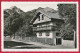 3 Foto-AK ´Bayrischzell´ (LK Miesbach) ~ 1955 - Miesbach