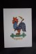 OLD USSR  PC -  "Congratulations. " By Ershov  - 1966  - ROOSTER / COQ - - Oiseaux