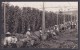 Australia. Slop Gardens - RPPC - Autres & Non Classés