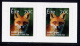 IRELAND/Irland/Eire 2015 Definitive Red Fox & Otter Self-Adhesive Pairs** - Nuovi