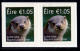 IRELAND/Irland/Eire 2015 Definitive Red Fox & Otter Self-Adhesive Pairs** - Ungebraucht