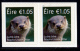 IRELAND/Irland/Eire 2015 Definitive Red Fox & Otter Self-Adhesive Pairs** - Nuovi