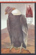 SAHARA ESPAGNOL - CARTE POSTALE TIMBREE THEME OISEAUX  "CONDOR" - - Sahara Español