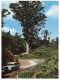 (432) New Zealand To Australia - RTS Or DELO Postcard - Coromandel Range And Kauri Tree - Arbres