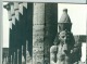 Luxor, Great Capital Of Egypt During The New Kingdom, World´s Greatest Open-air Museum. Paperback Book - Architecture